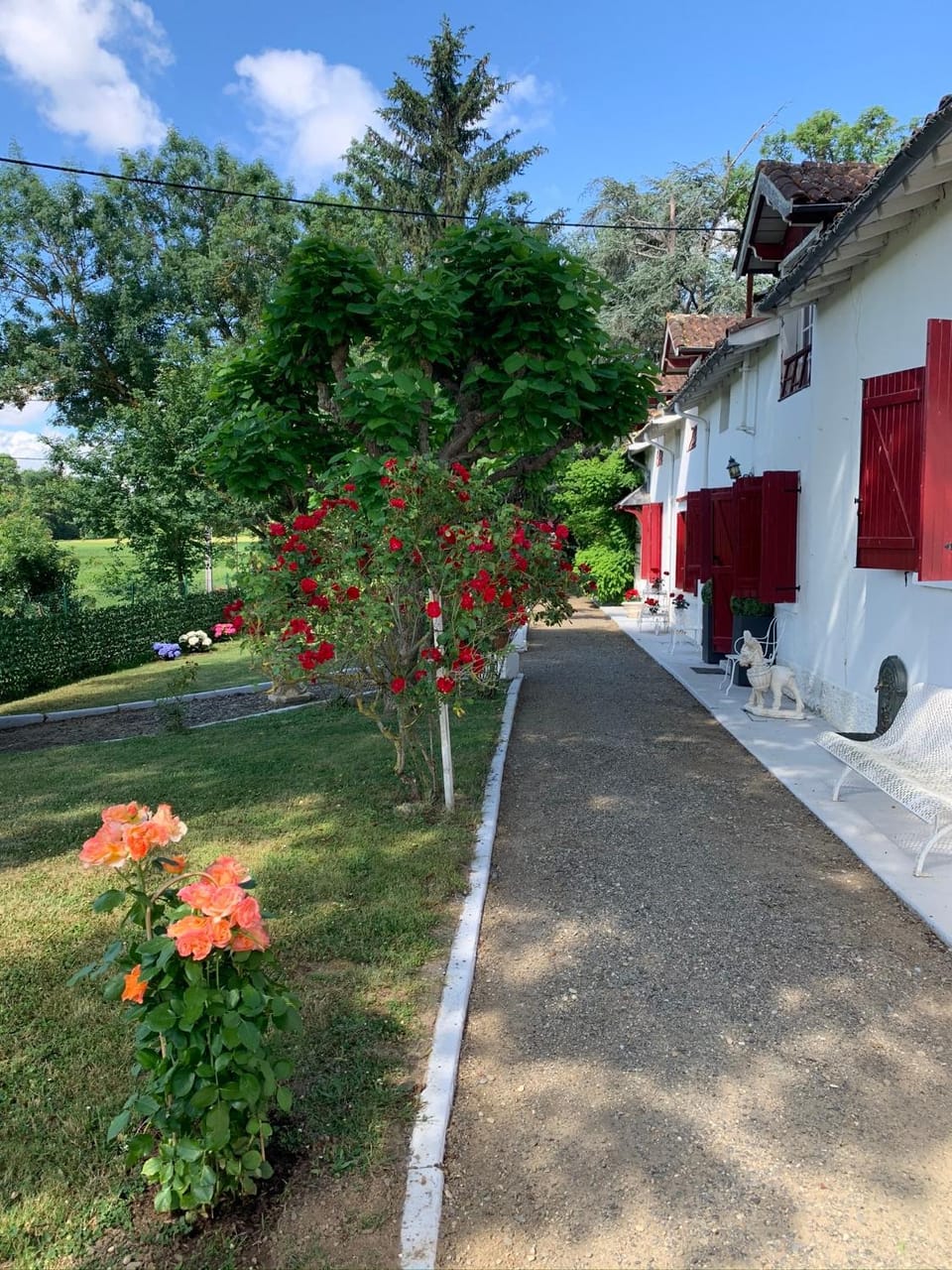 Domaine du cheval d argent Bed and Breakfast in Occitanie