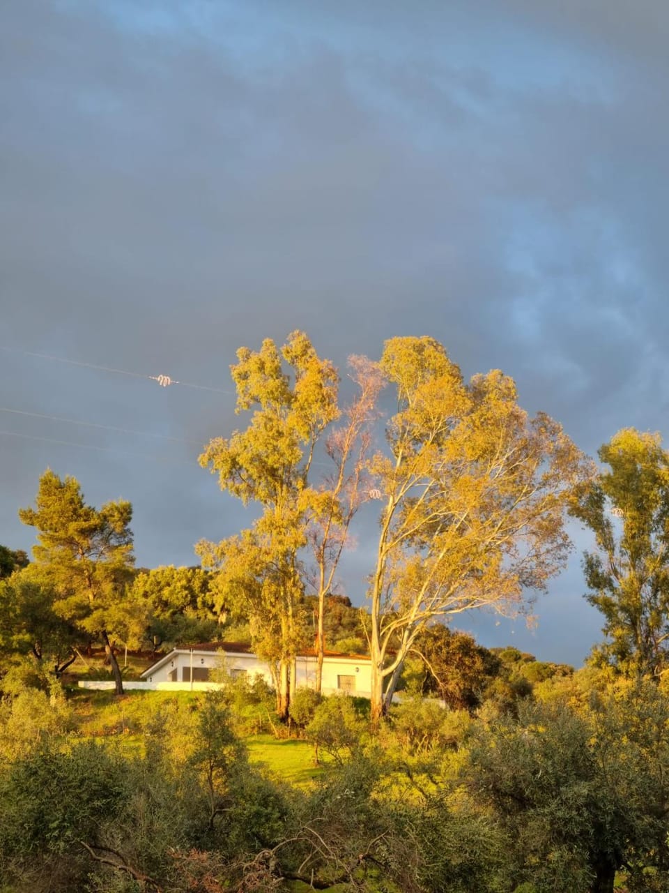 Casa Rural el Mirador de Nati House in Sierra Norte de Sevilla