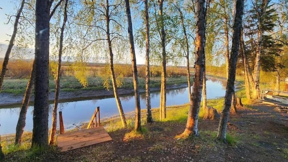 Beaver Creek Hideaway House in Kenai