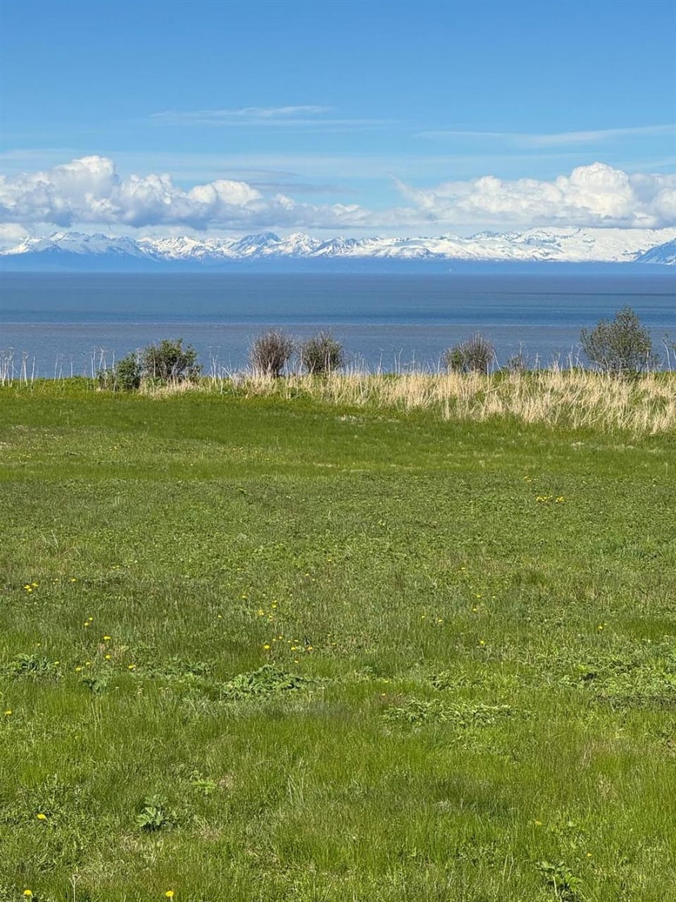 Overlooking the Cook Inlet with an Awesome View House in Ninilchik