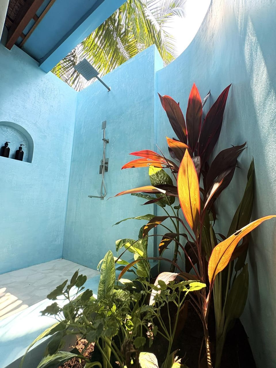 Shower, Day, Bathroom
