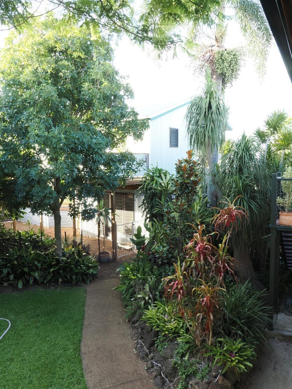 Garden view