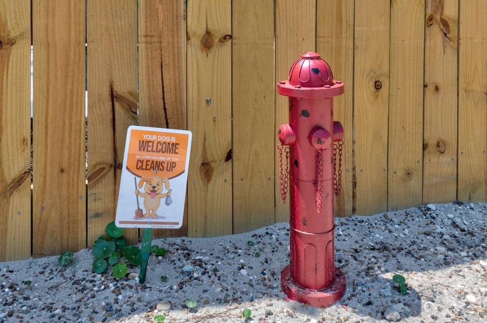 Day, pet friendly