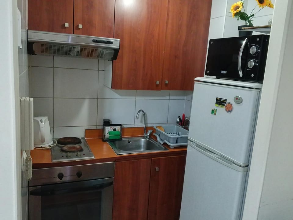 Apart Business Suite Santiago Centro 921 Apartment in Santiago