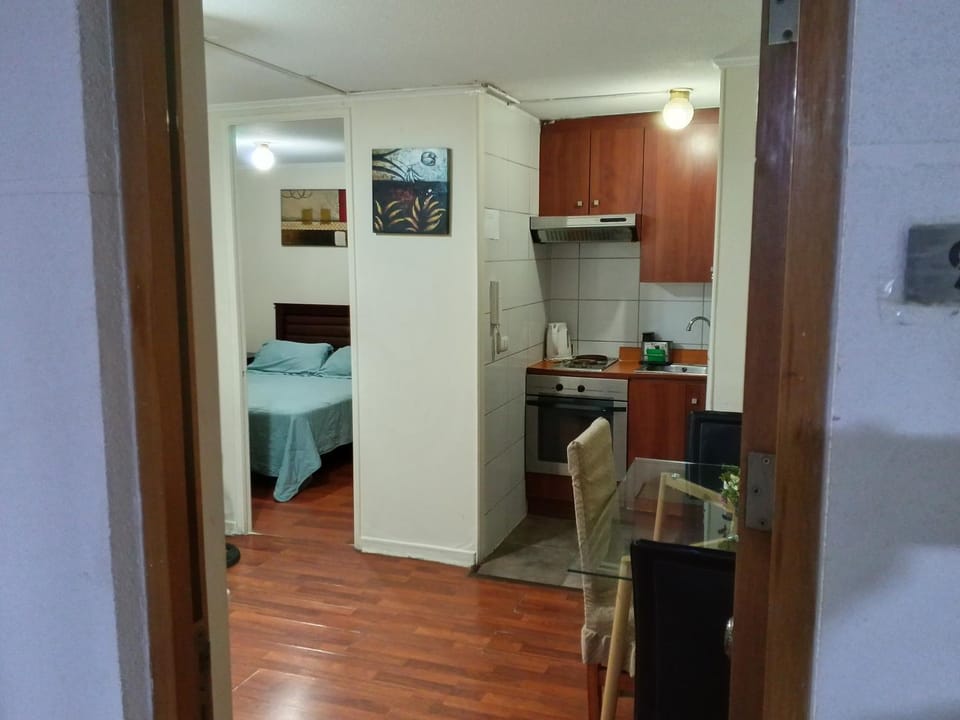 Apart Business Suite Santiago Centro 921 Apartment in Santiago