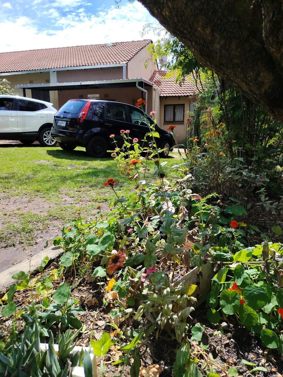 Cozy guestrooms in Midrand 3 Bed and Breakfast in Gauteng