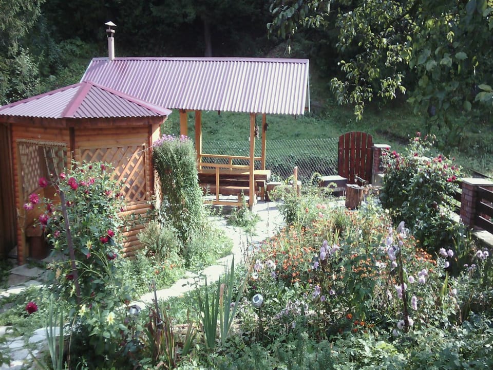 Natural landscape, On site