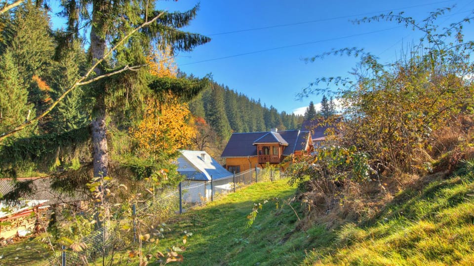 Neighbourhood, Natural landscape, Bird's eye view, Mountain view