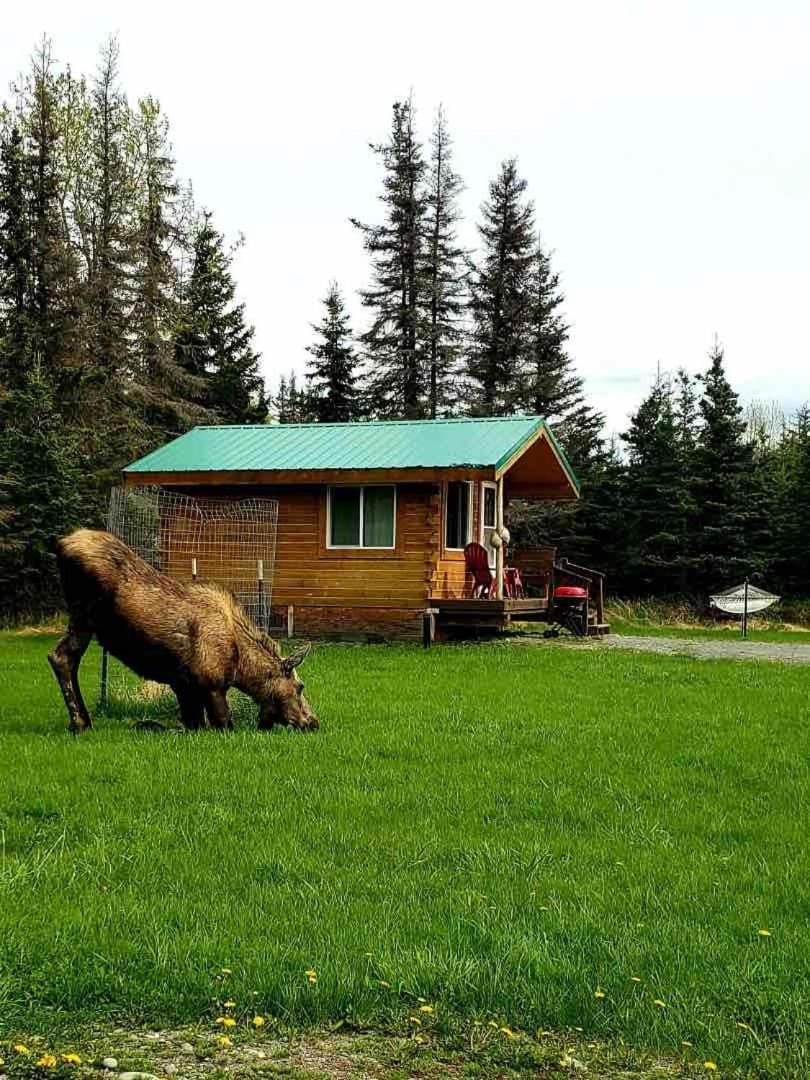 Rustic Moose Cabin at Moose Tracks Lodging Cabin in Alaska