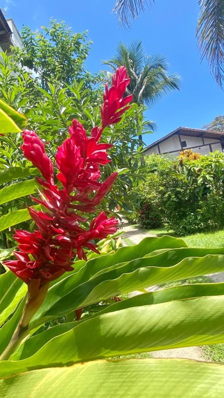 Dina Suítes Flat's Caiçara Bed and Breakfast in São Sebastião