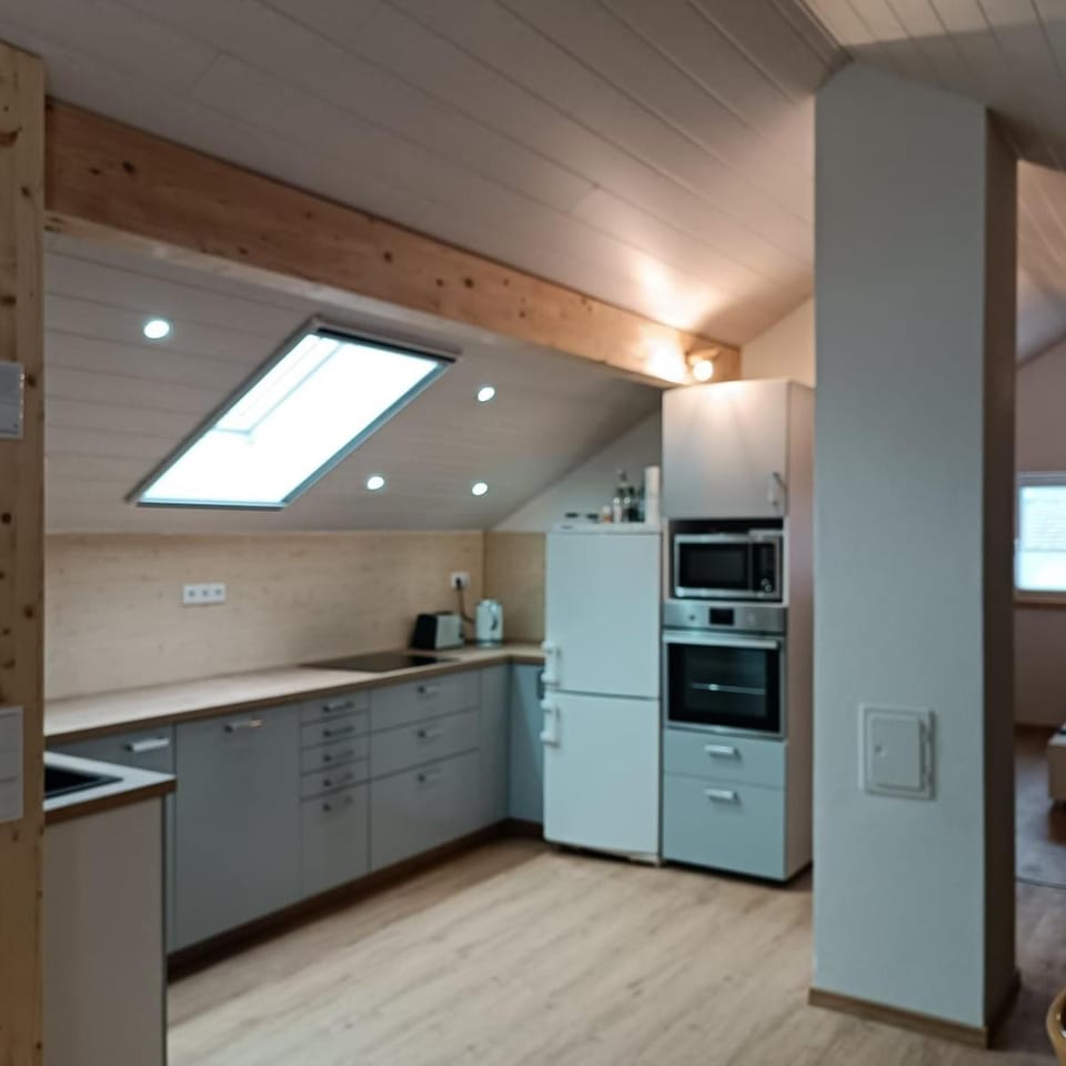 Kitchen or kitchenette, oven, stove, toaster