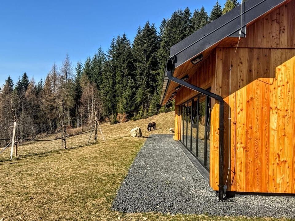 Zapodomek B z pięknym widokiem i jacuzzi Chalet in Poland