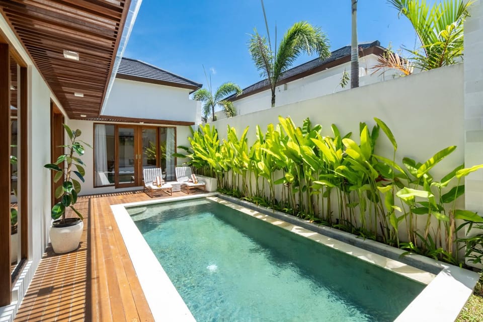 Patio, Day, Garden, Garden view, Pool view, Swimming pool, sunbed