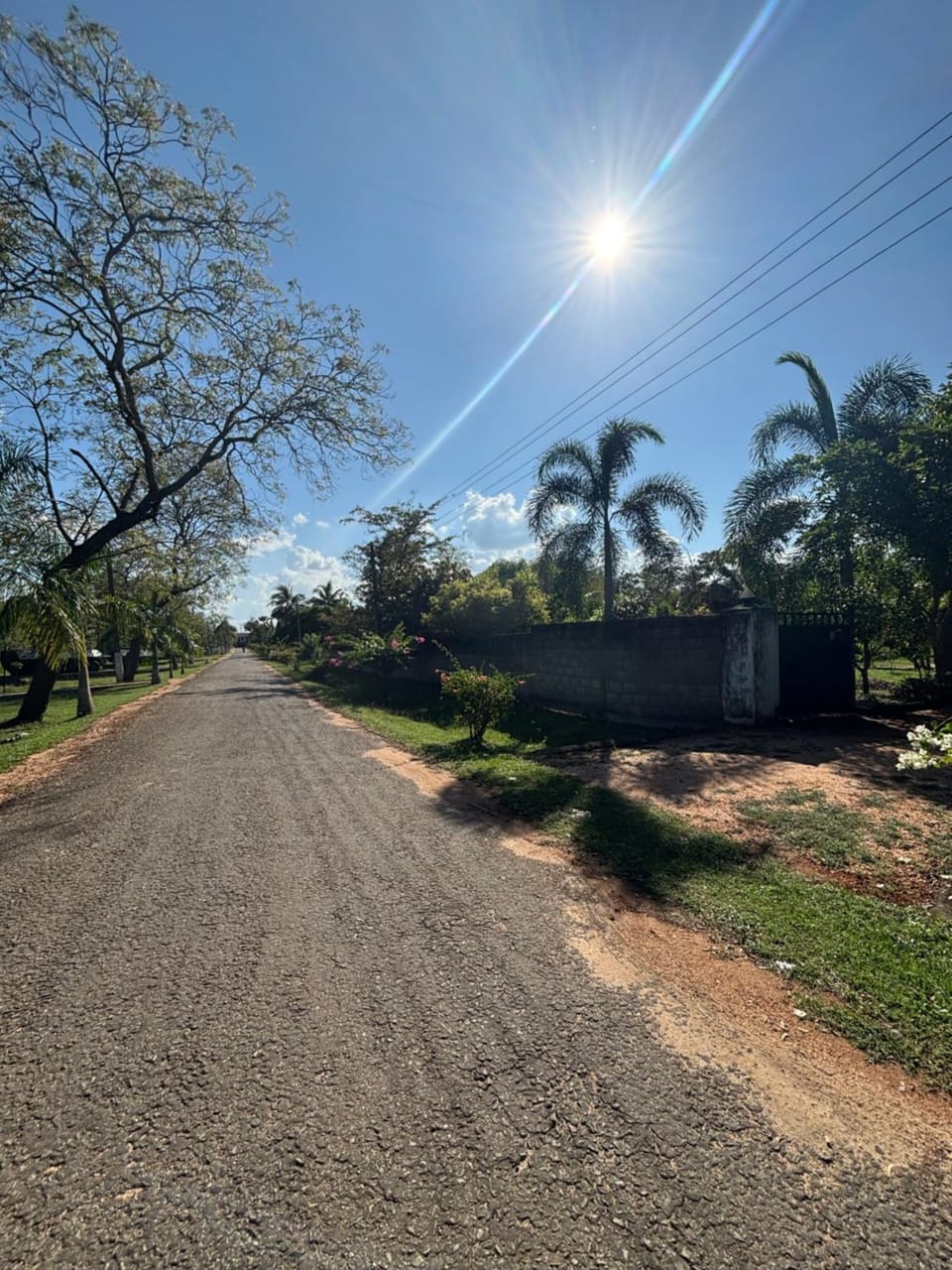 Mulberry stays Anuradhapura Bed and Breakfast in Sri Lanka