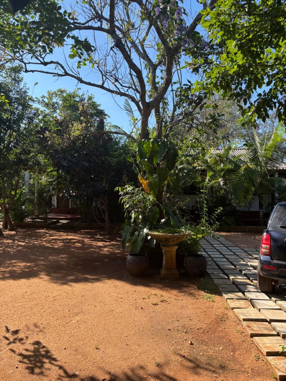 Mulberry stays Anuradhapura Bed and Breakfast in Sri Lanka