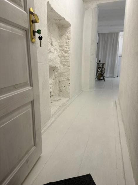 Vorontsov Loft 1 Apartment in Odessa