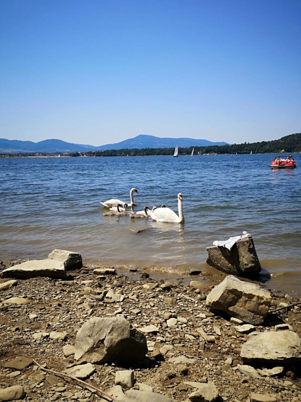 Lake view