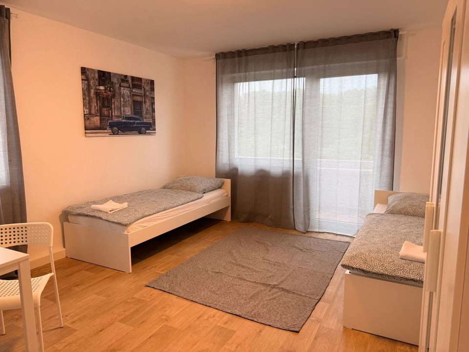 Ferienwohnung Weinrebe Apartment in Mainz-Bingen