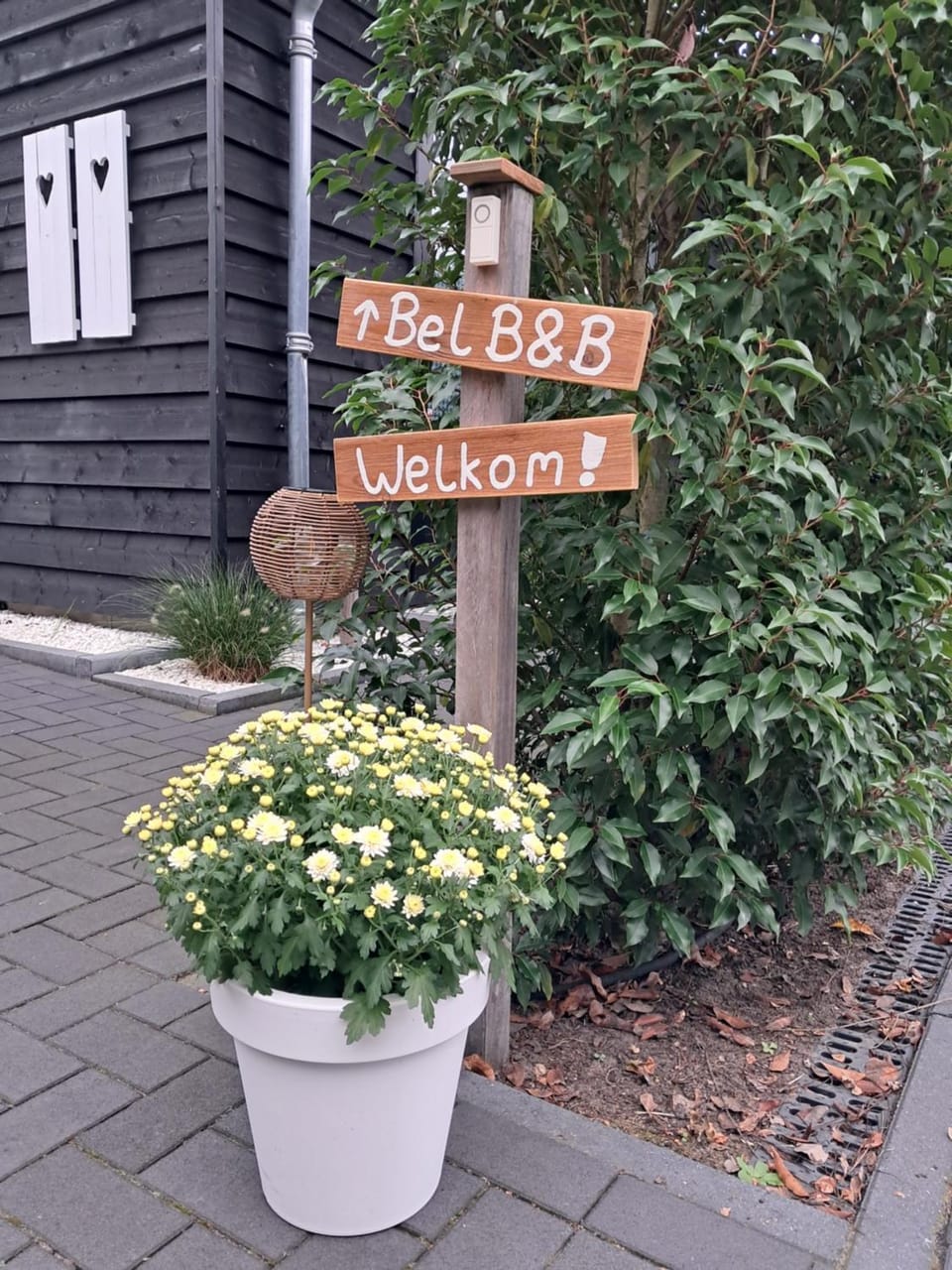 De Witte Kip Bed and Breakfast in Drenthe (province)