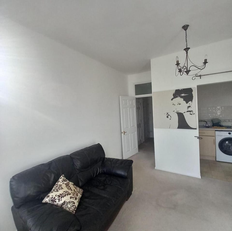Kitchen or kitchenette, Living room, Seating area, washing machine