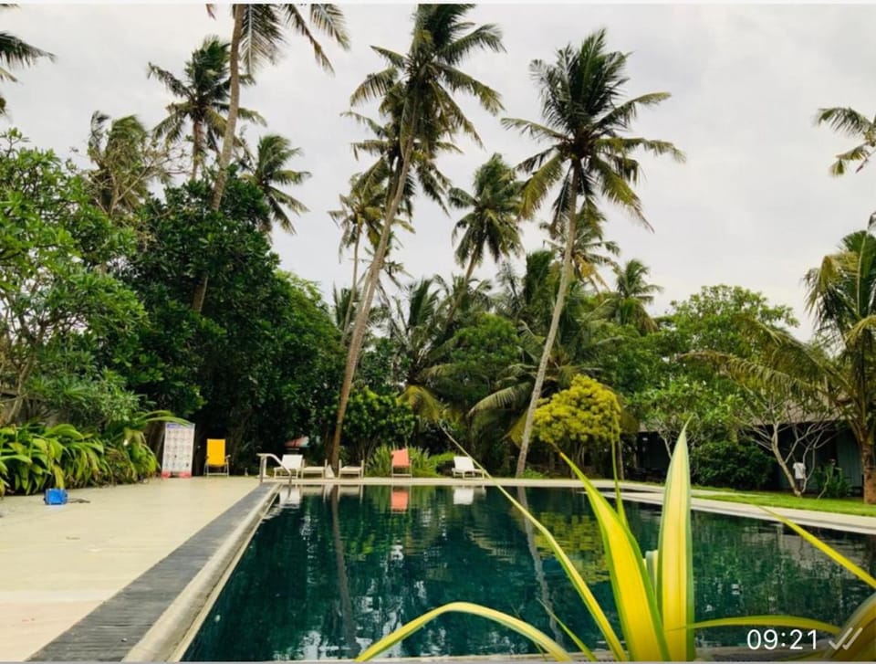 Neptune Blue Ocean Resort Hotel in Wadduwa