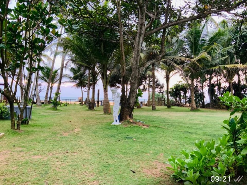 Neptune Blue Ocean Resort Hotel in Wadduwa