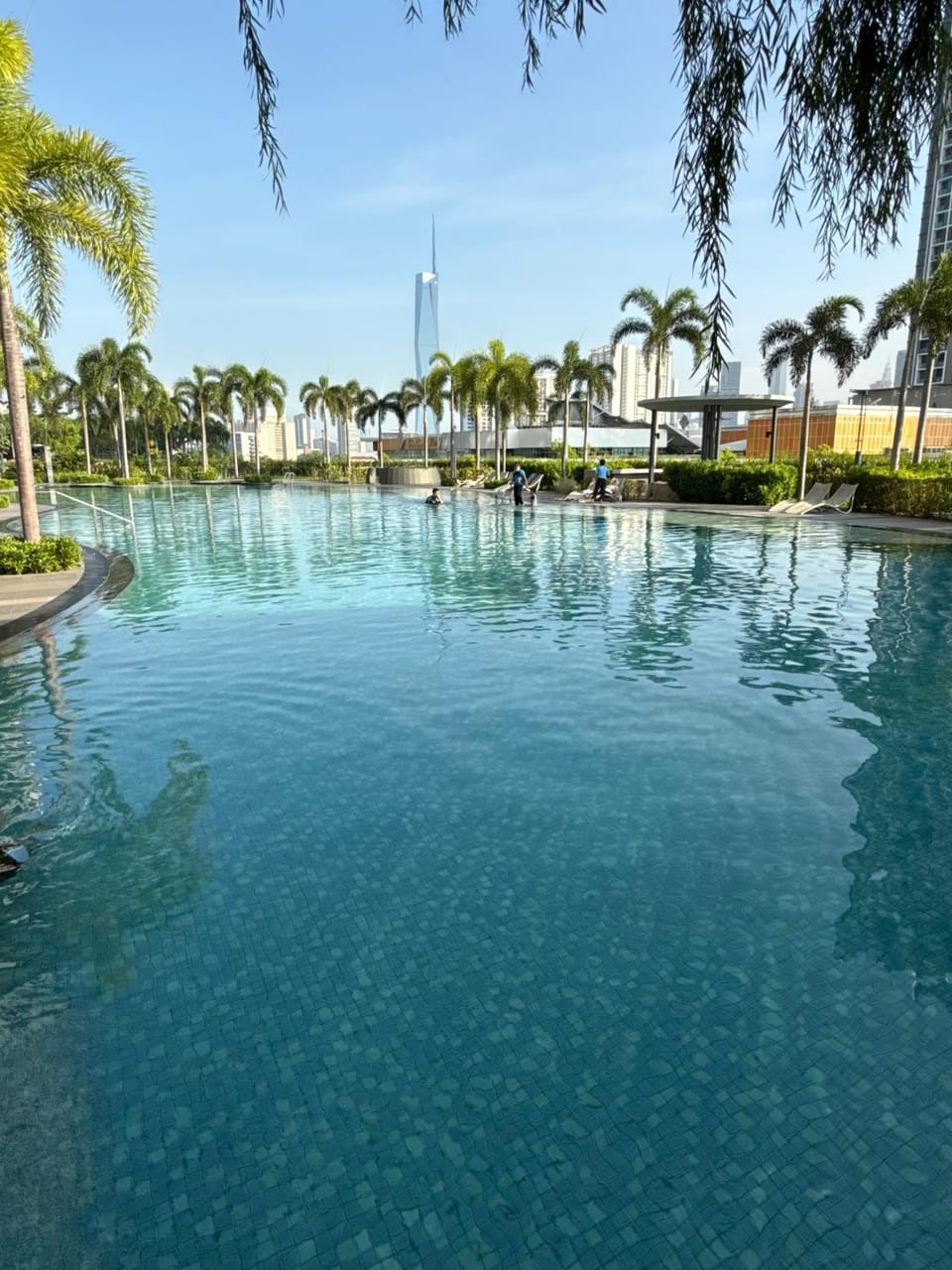 Garden, Swimming pool, sunbed