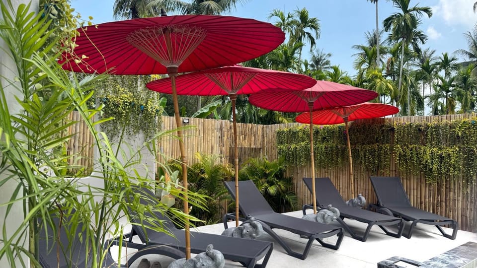 Patio, Spring, Day, Garden, Garden view, sunbed