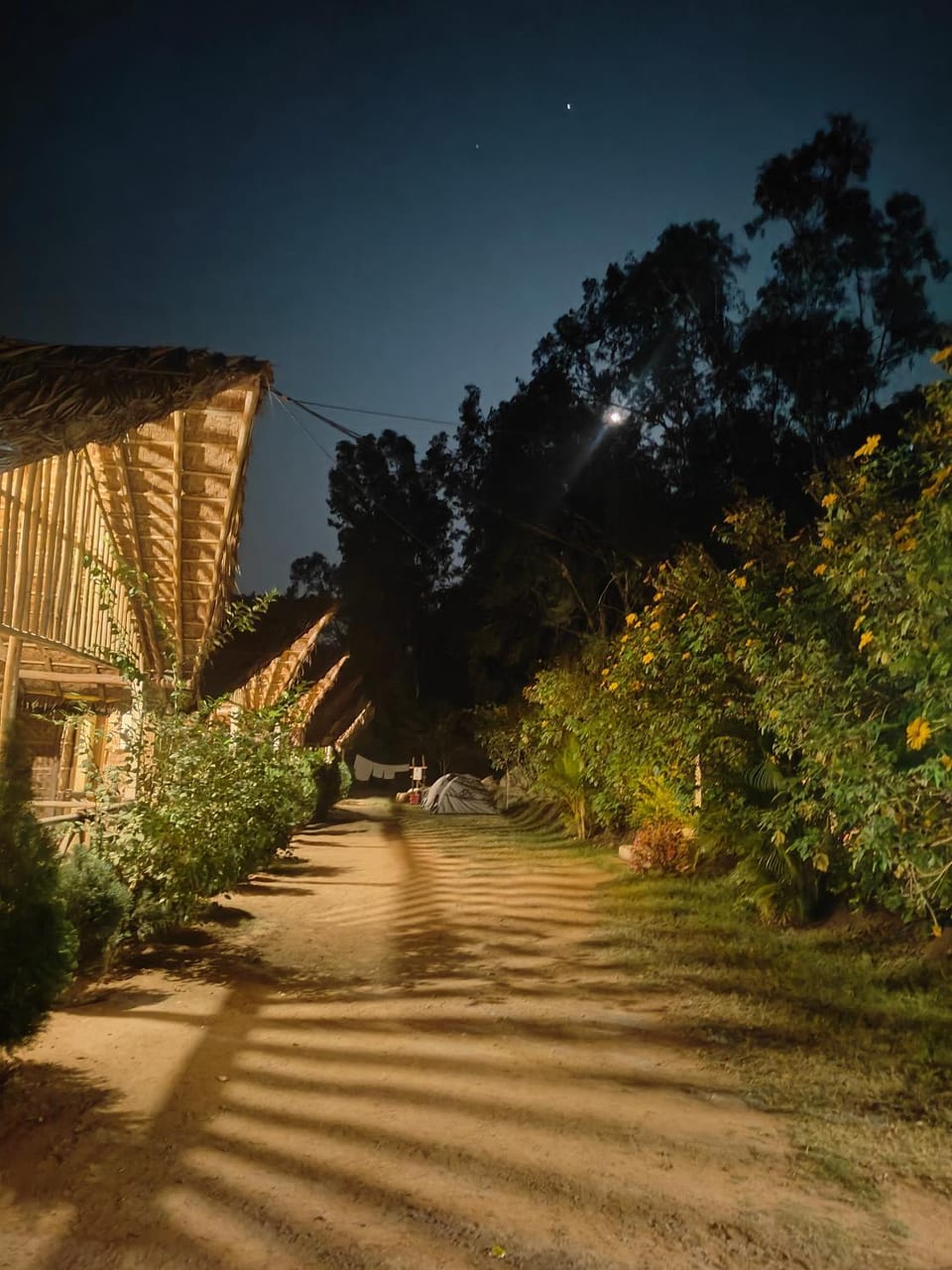 Crazzy Panda Hampi Bed and Breakfast in Karnataka
