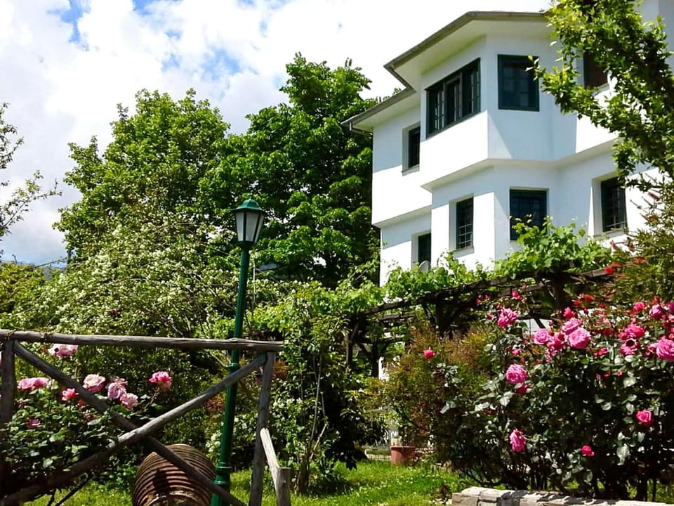 Property building, Garden, Garden view