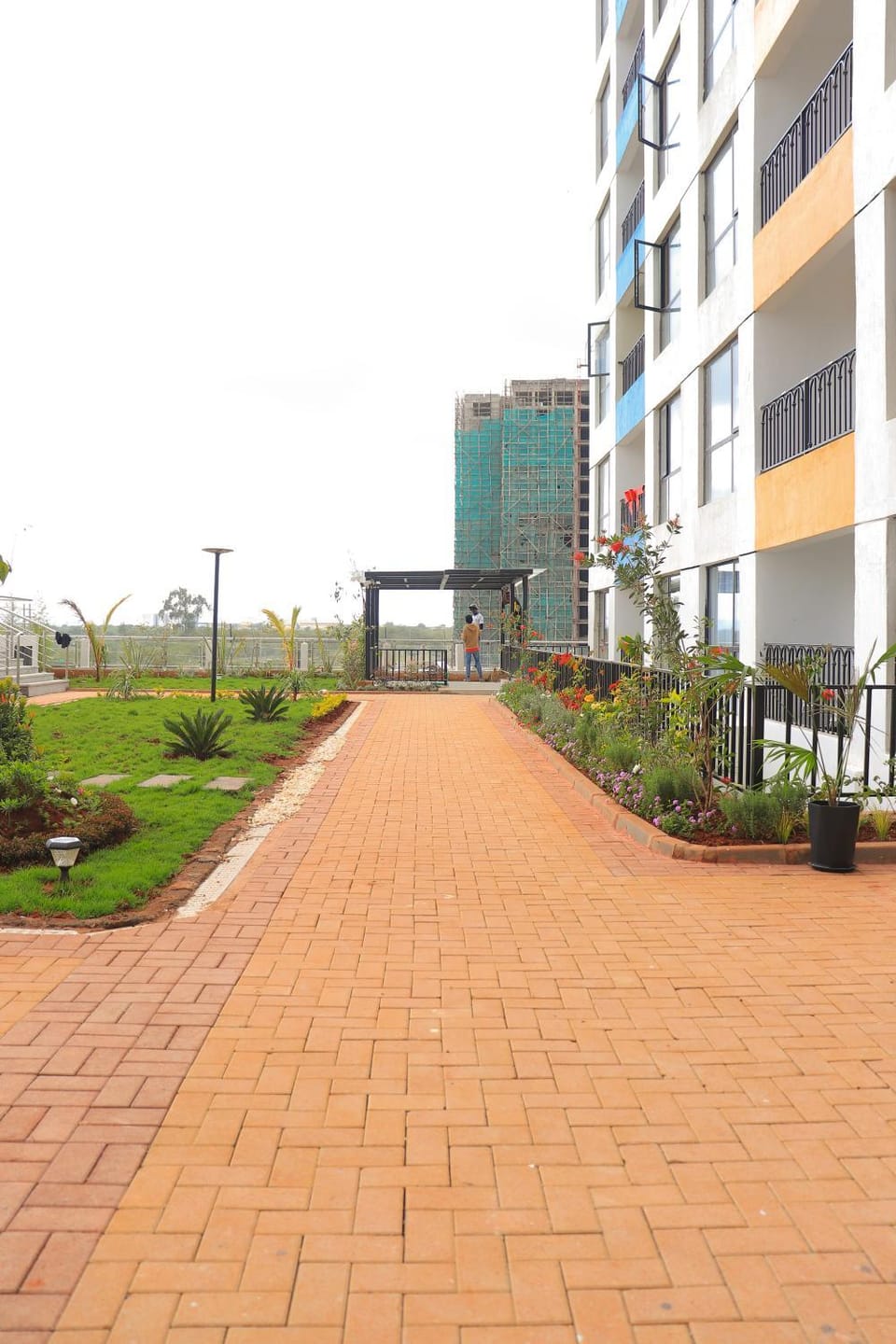 Garden, Garden view, Inner courtyard view