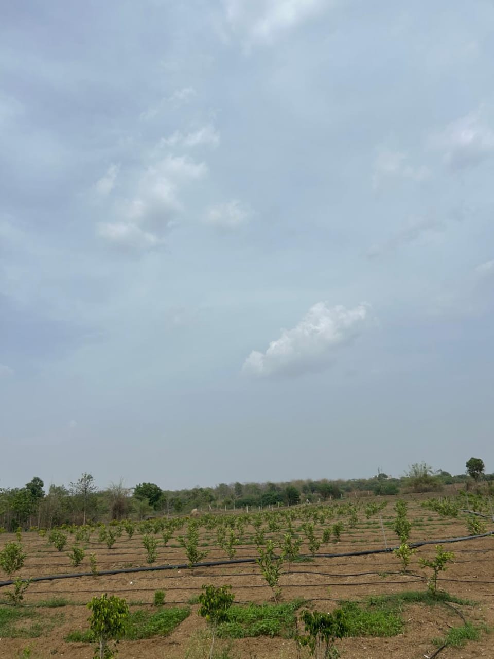 Natural landscape
