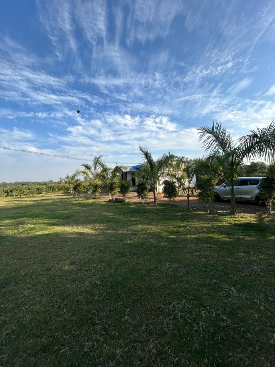 Natural landscape, Garden view