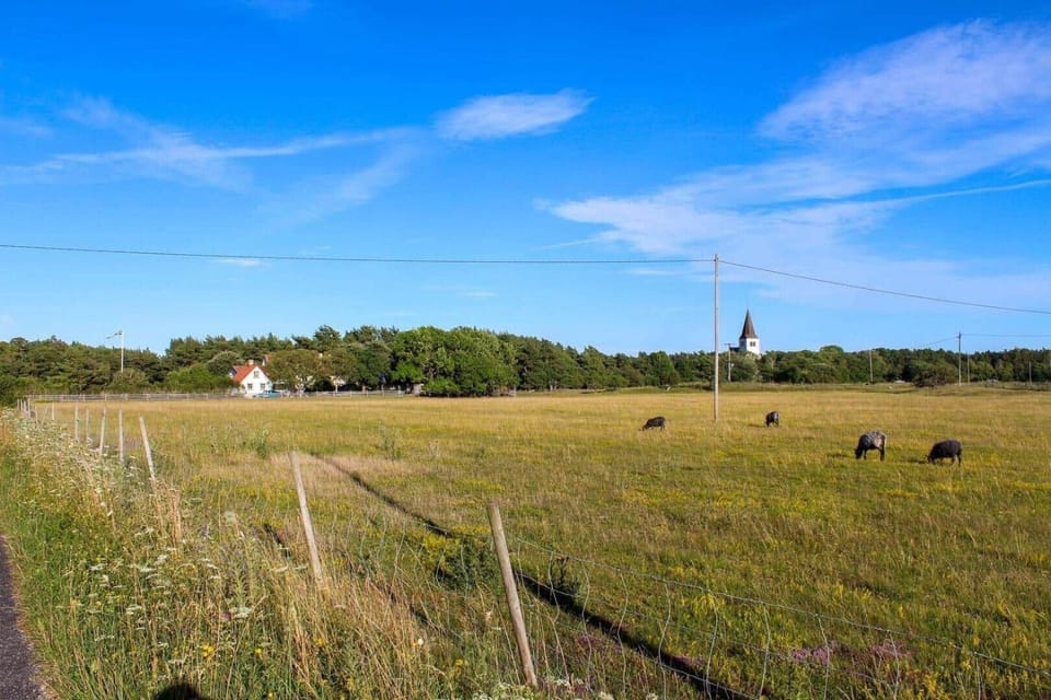 GOT121-Laerbro-Rute-Sofiero-133 House in Gotland County, Sweden