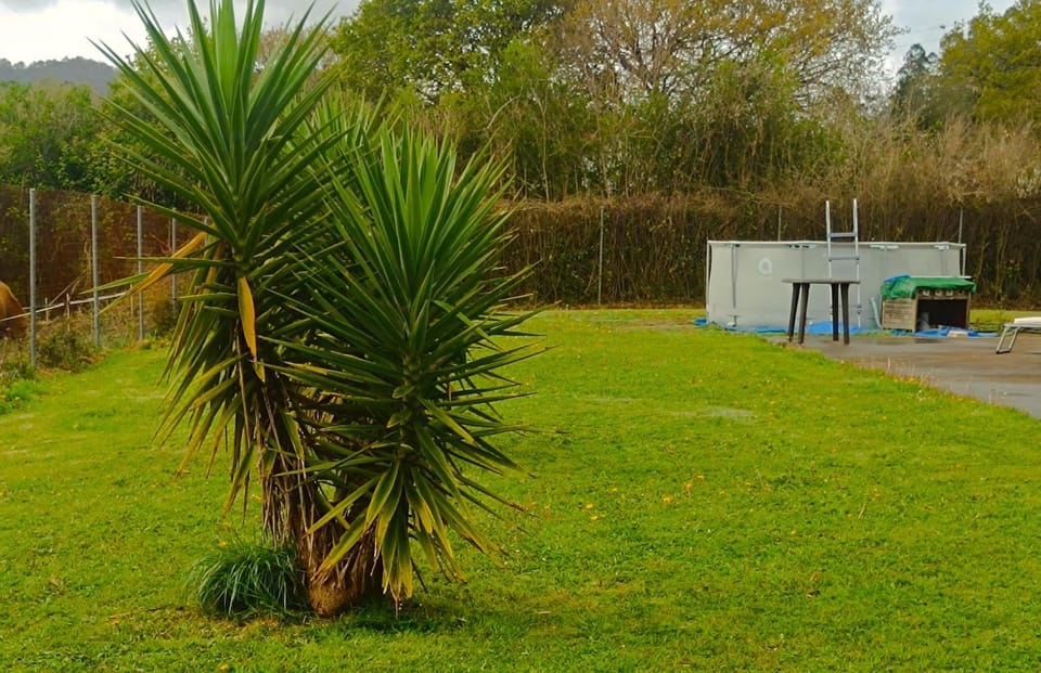 BBQ facilities, Garden, Swimming pool