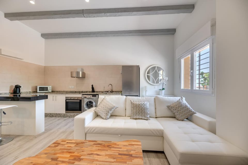 Kitchen or kitchenette, Living room, Photo of the whole room, oven