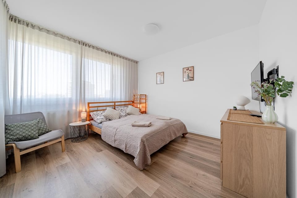 Old Bridge Retreat and Free Parking Apartment in Bratislava