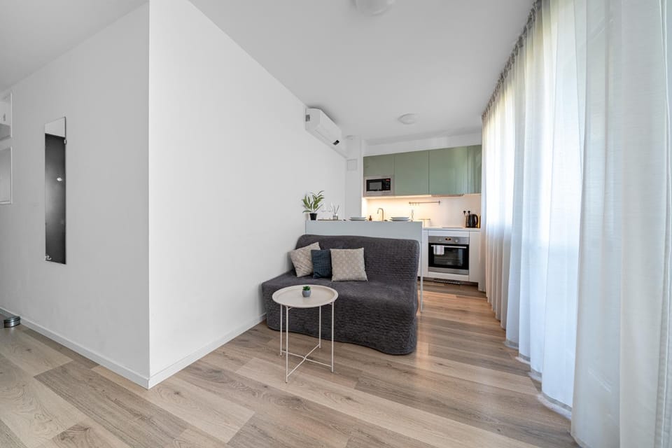 Old Bridge Retreat and Free Parking Apartment in Bratislava