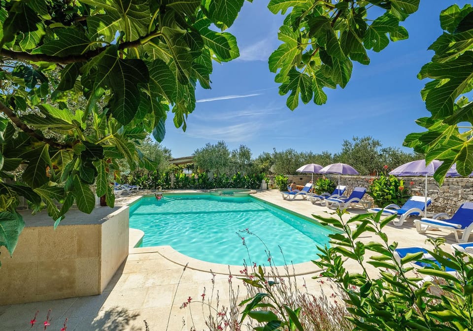 Garden, Swimming pool, Swimming pool