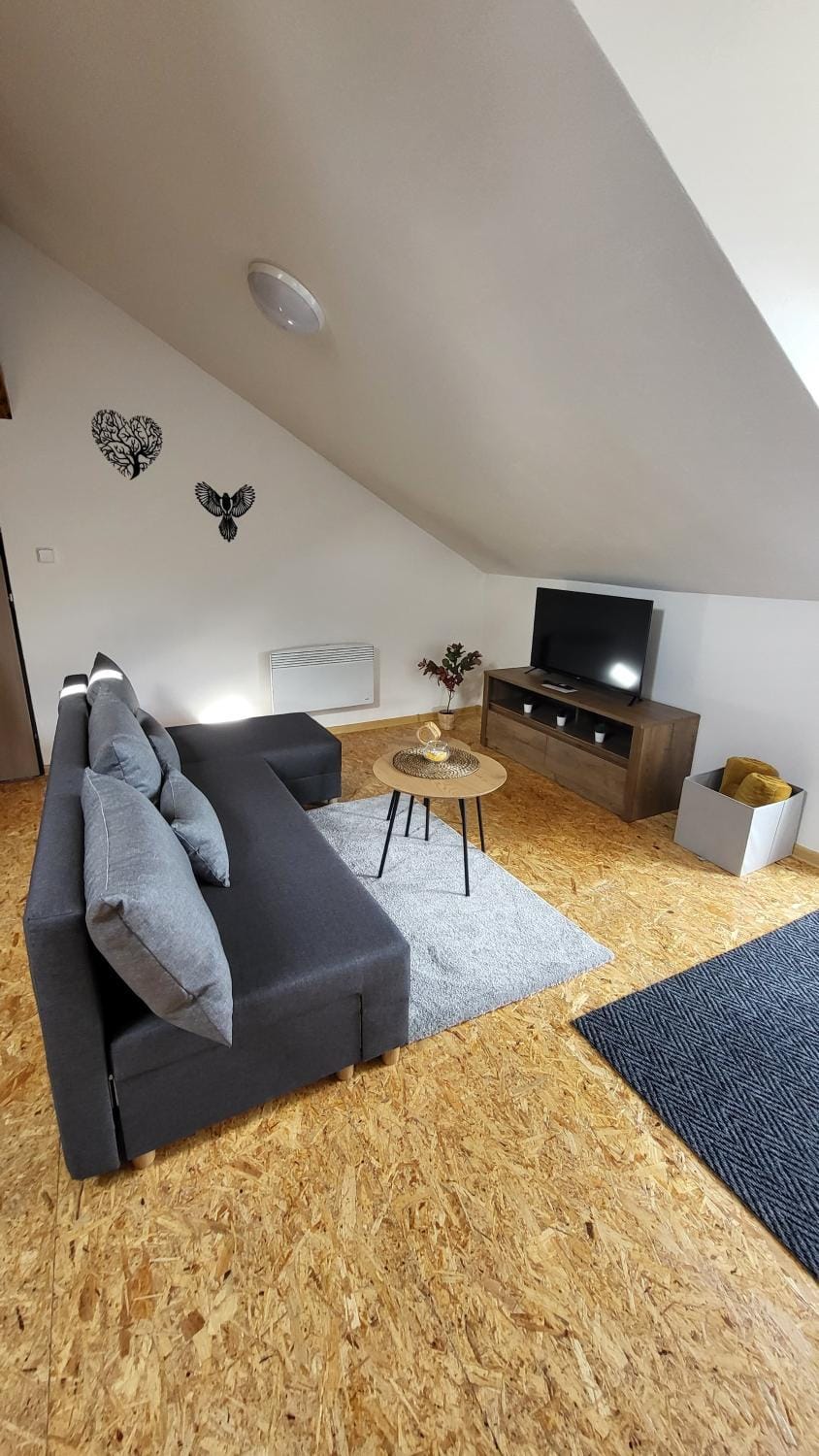 Apartmán u kolejí D Apartment in South Moravian Region