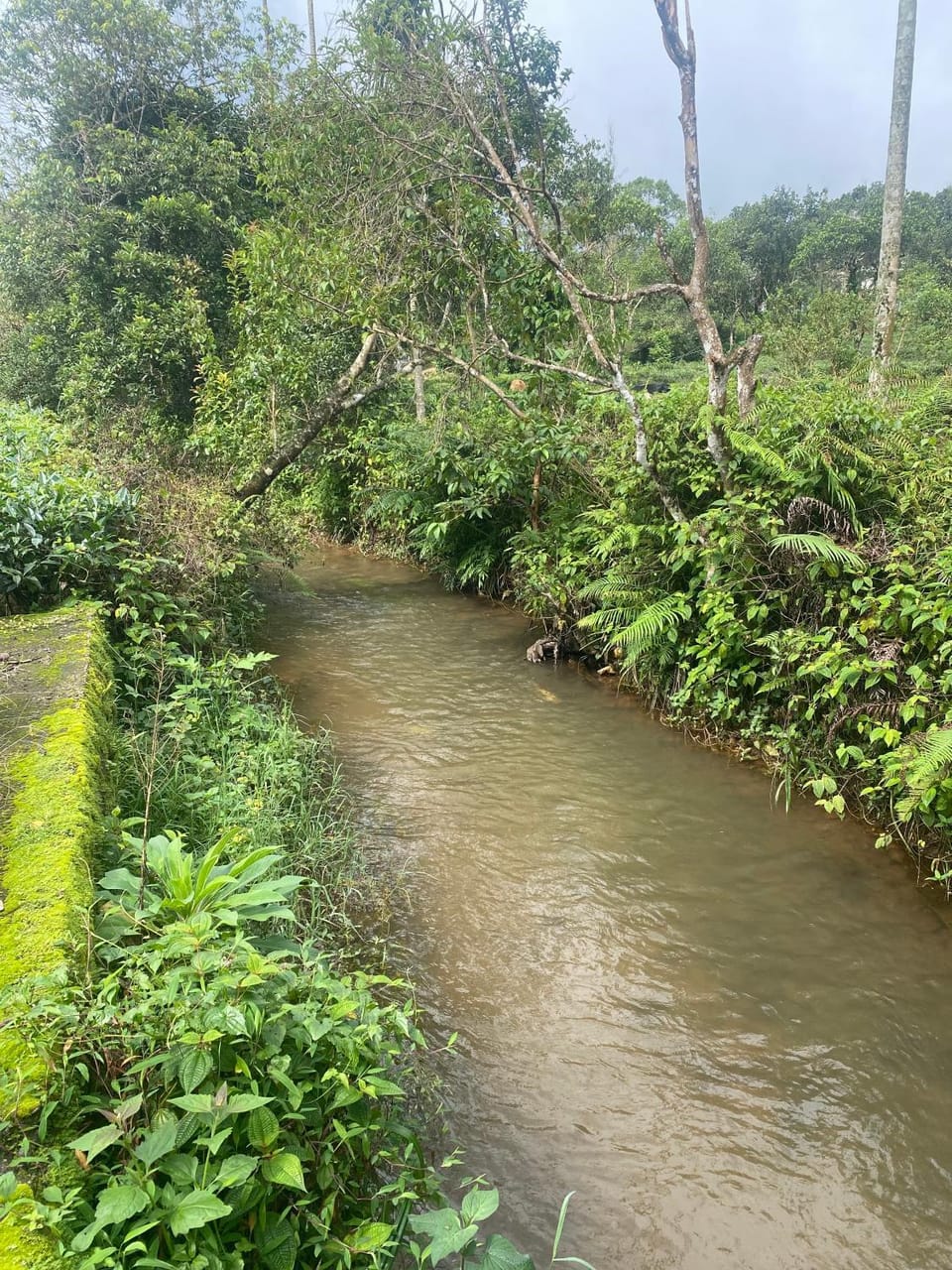 Misty Glen Vacation rental in Kerala