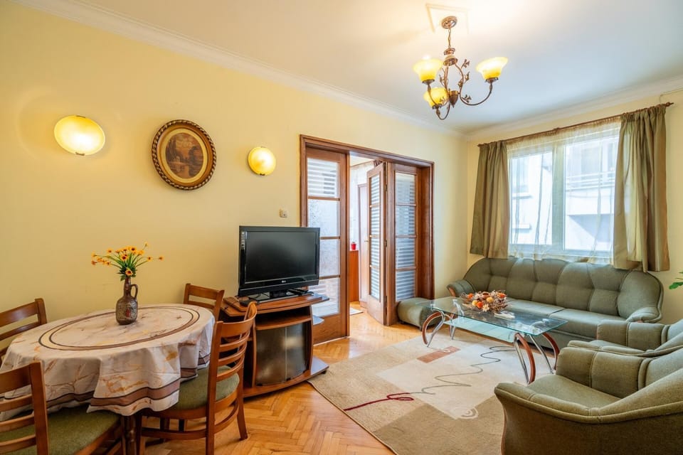 Central and Cozy 1BDRM Apt. Apartment in Sofia