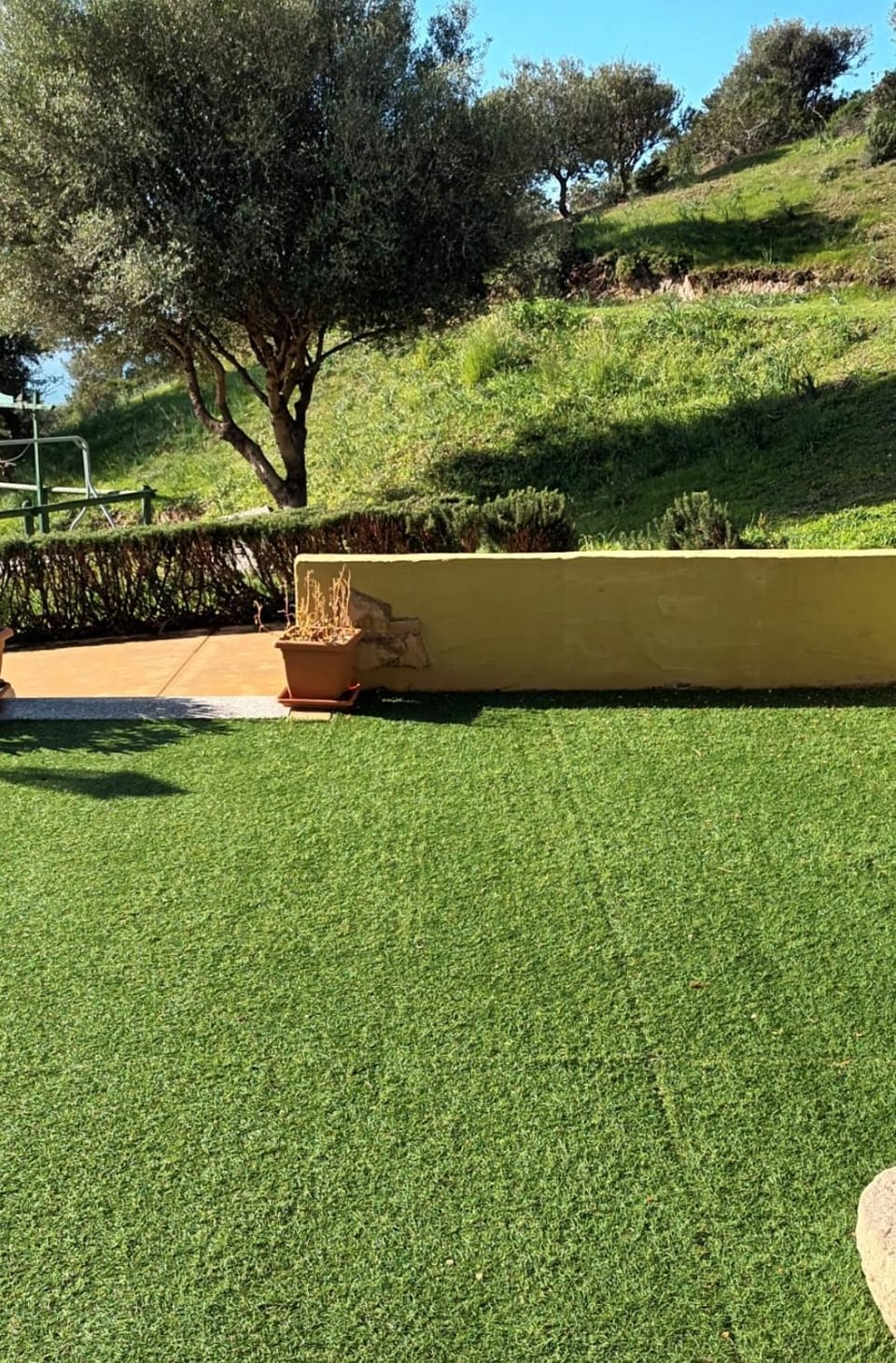 Garden, Garden, Garden view