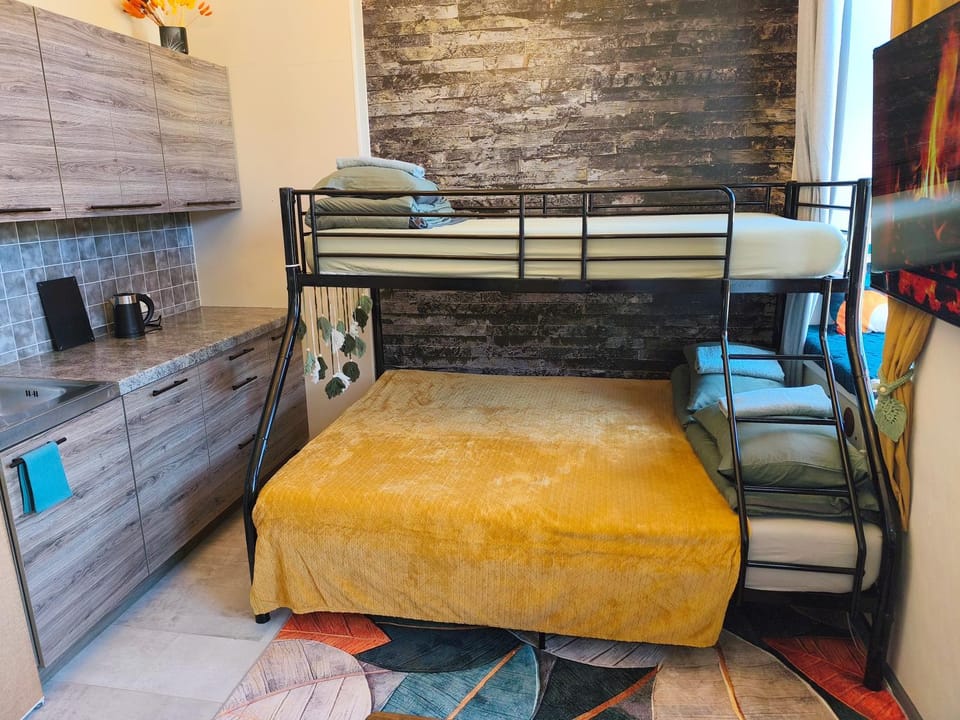 Bed, Kitchen or kitchenette, Photo of the whole room, Bedroom, bunk bed