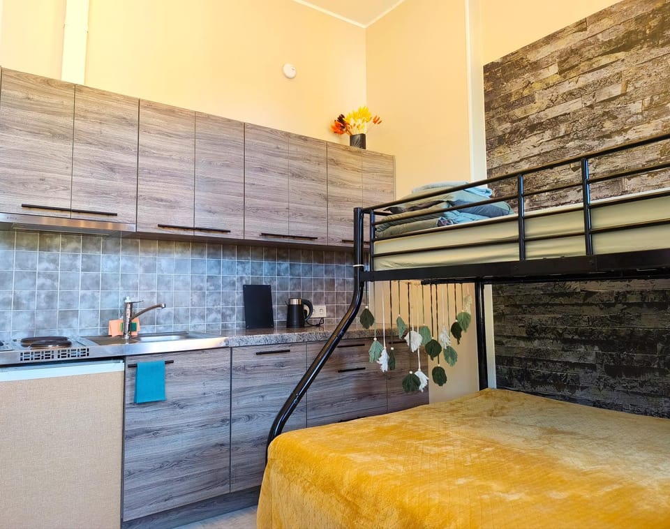 Kitchen or kitchenette, Photo of the whole room, bunk bed