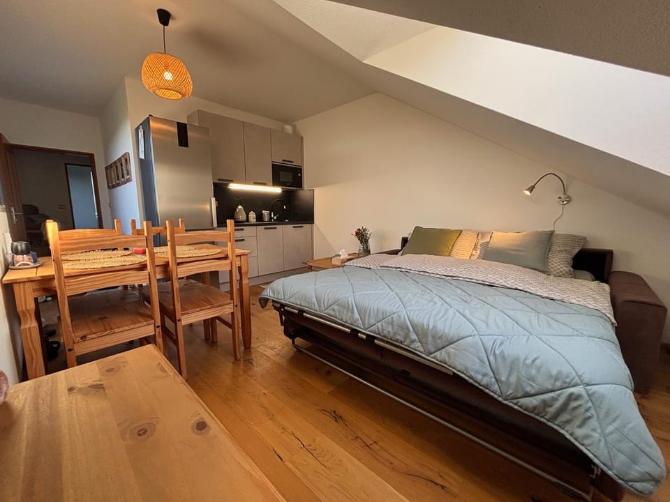 Bed, Living room, kitchen