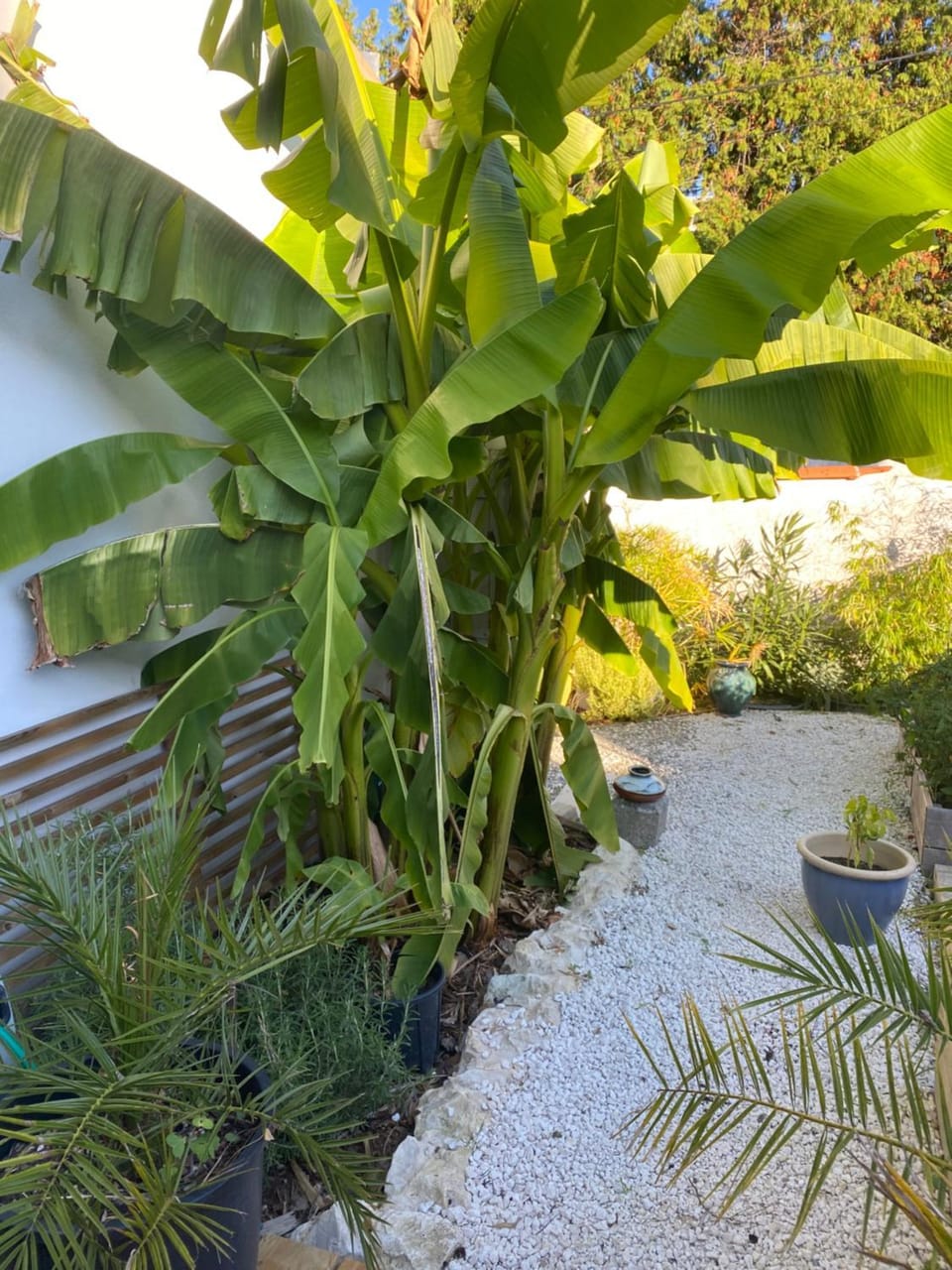 Chambre d'Hôtes spacieuse et lumineuse - La Douce Etoile vb - Bed and Breakfast in La Rochelle