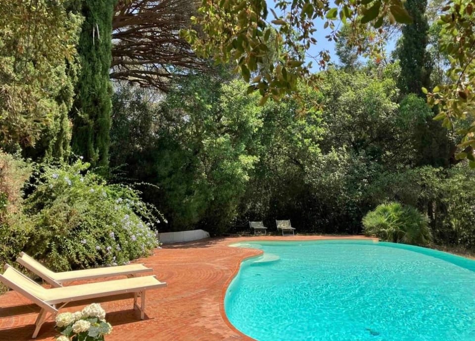 La mandarine Bed and Breakfast in Gassin
