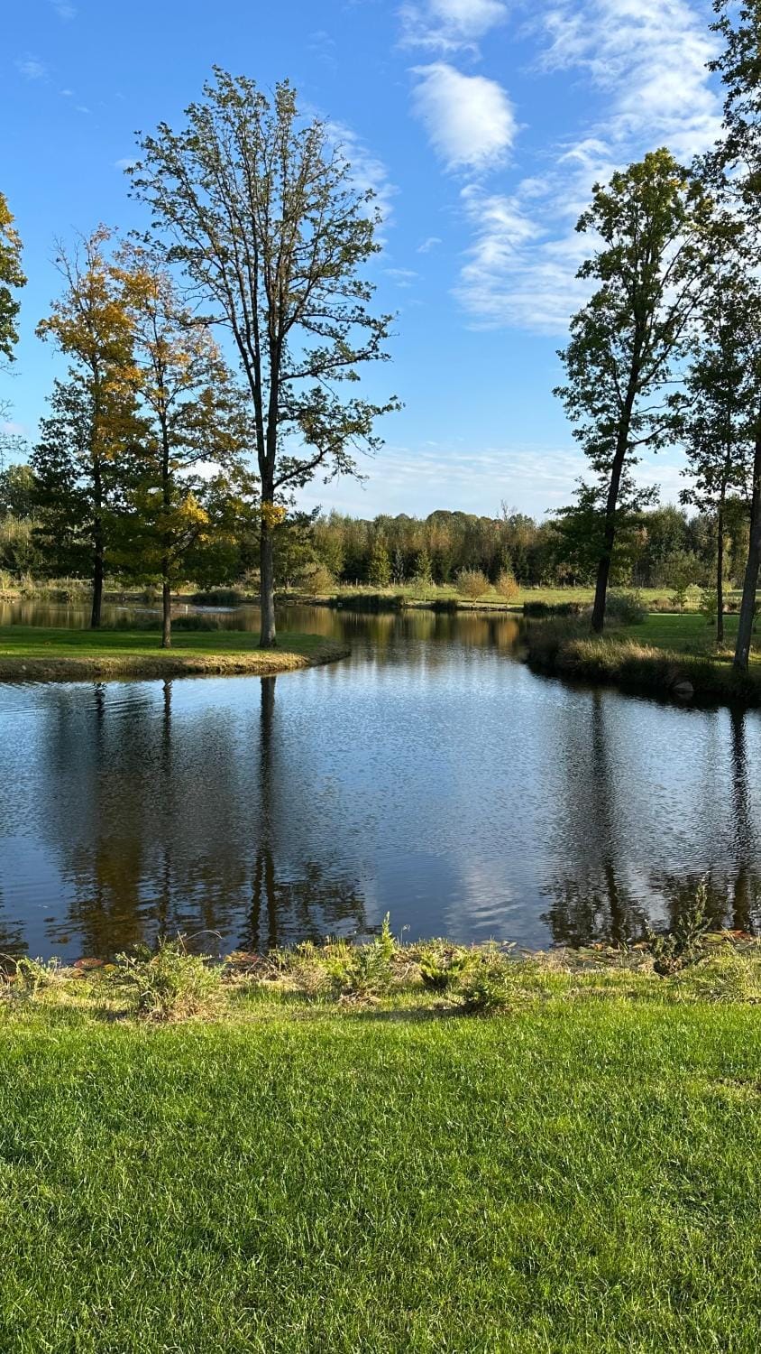 Lake view