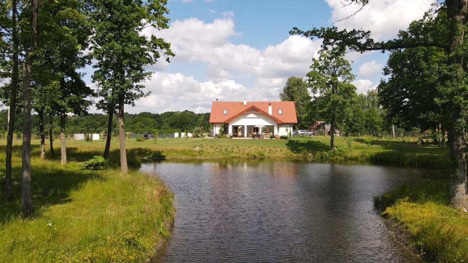Lake view